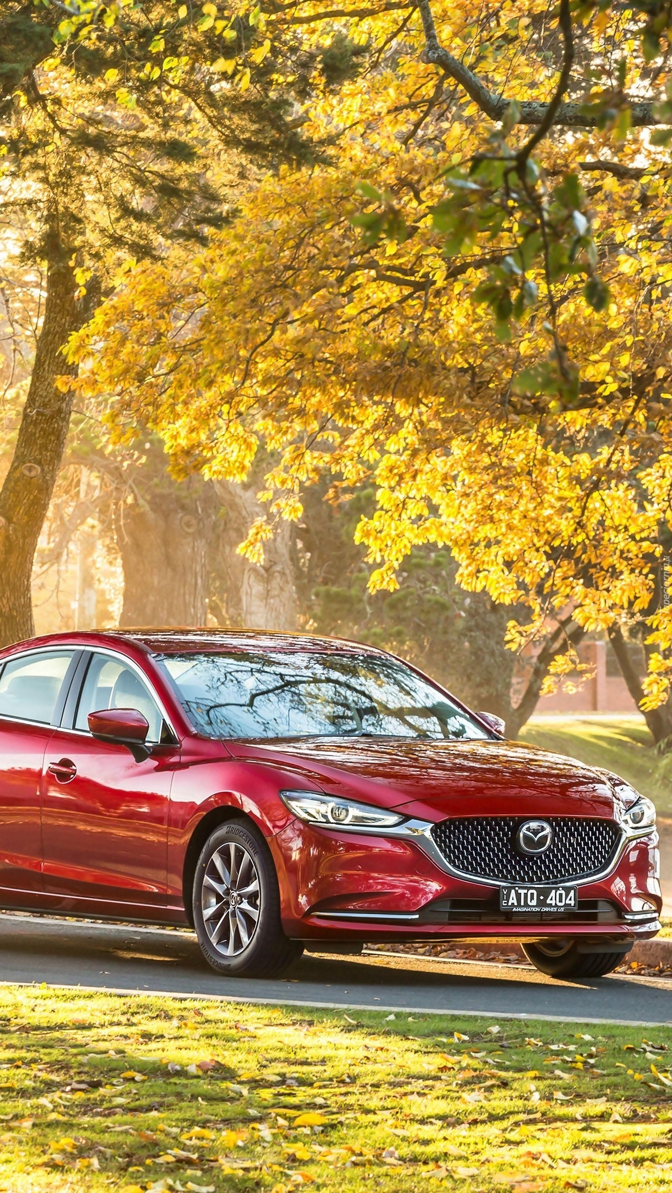 Mazda 6 pod drzewem
