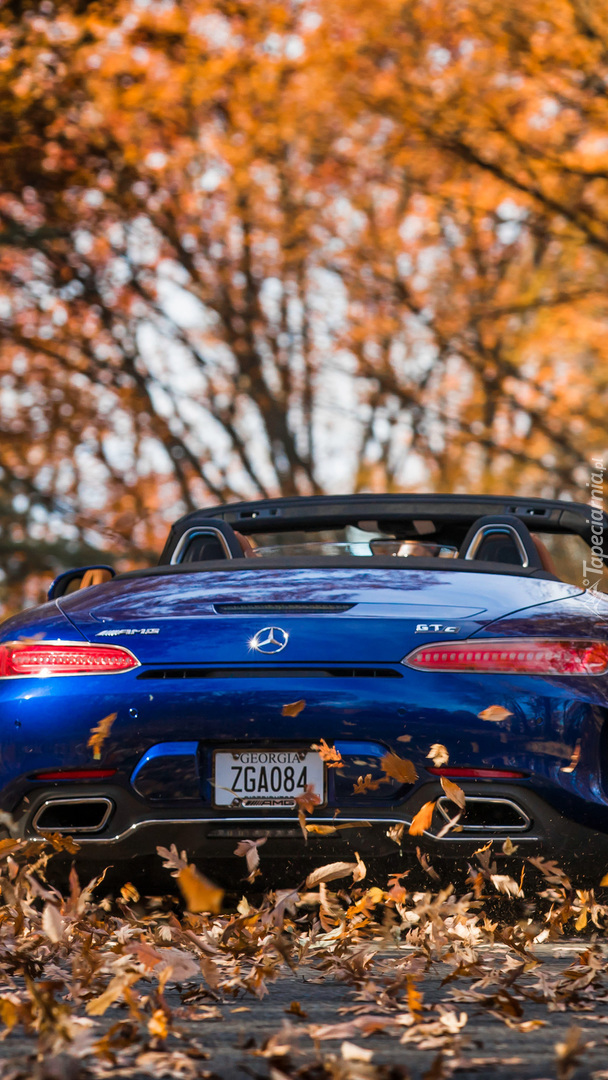 Mercedes AMG GT C