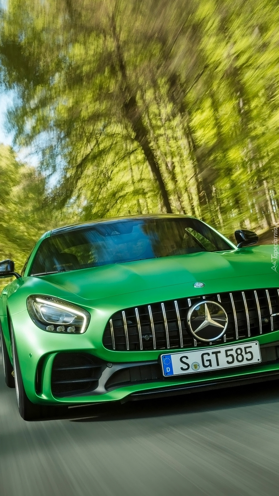 Mercedes-AMG GT R