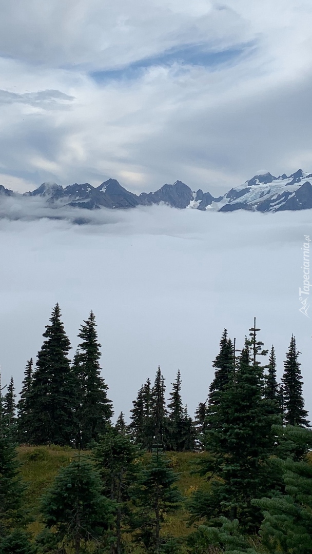 Mgła nad górami