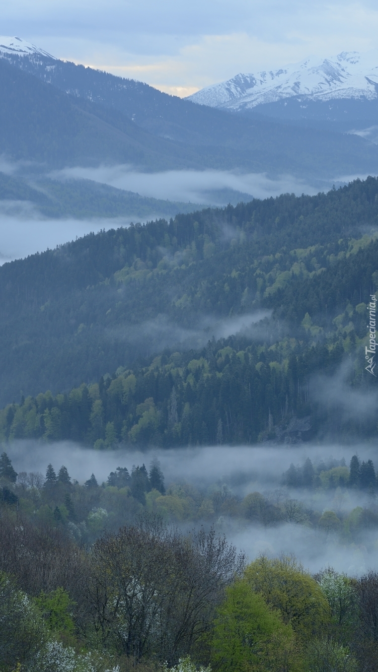 Mgła nad górami i doliną