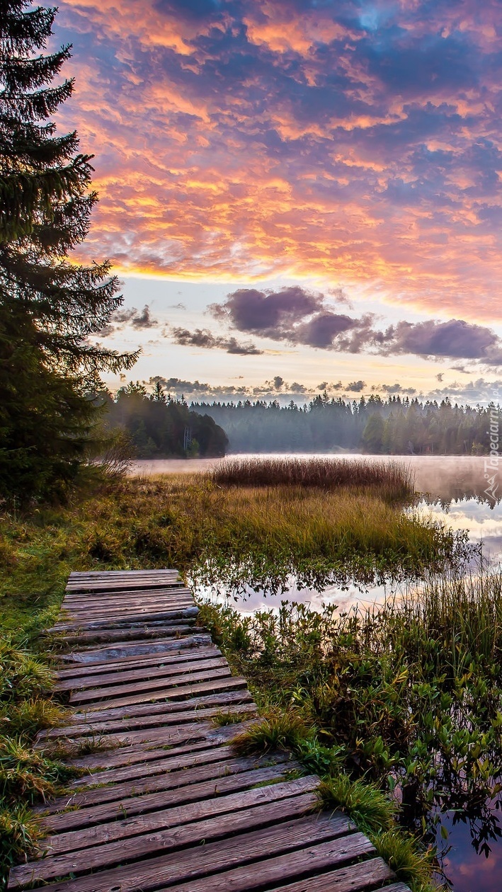 Mgła nad jeziorem