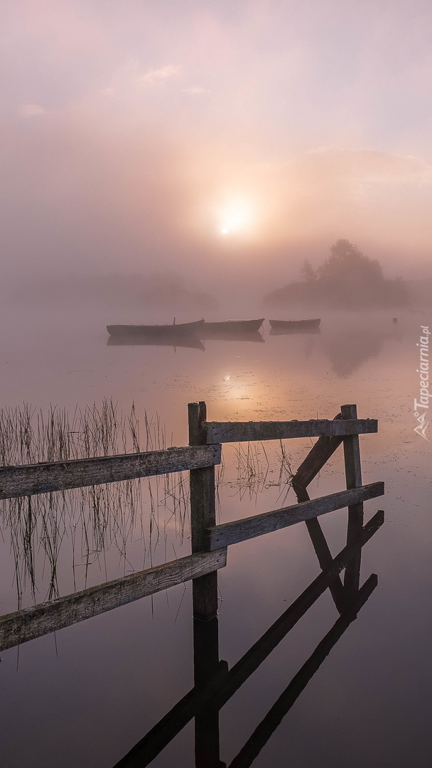 Mgła nad jeziorem Knapps Loch w Szkocji