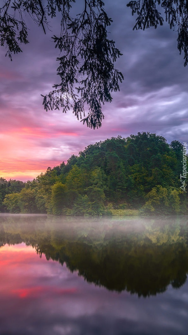 Mgła nad jeziorem Trakoscan w Chorwacji