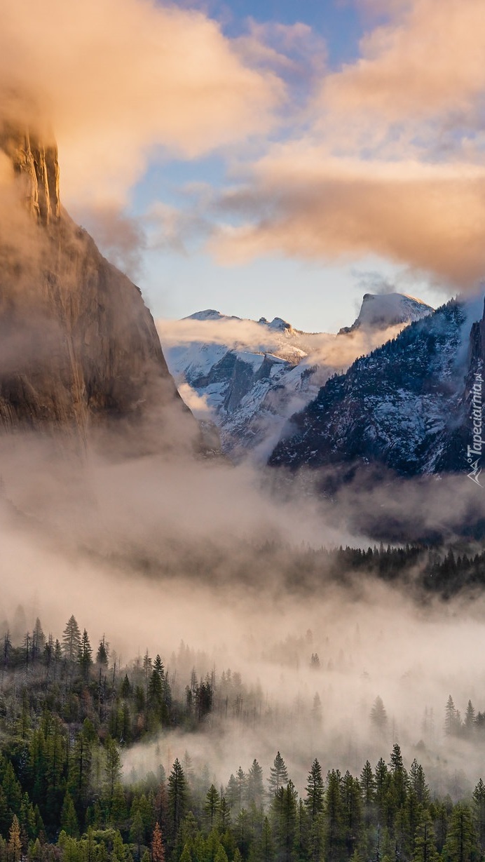 Mgła nad lasami w dolinie Yosemite Valley