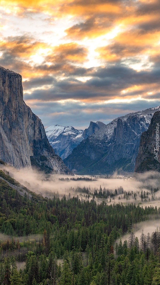 Mgła nad lasami w dolinie Yosemite Valley