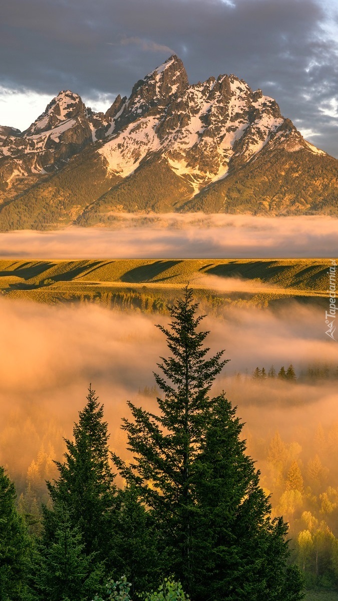 Mgła nad lasem w górach Teton Range