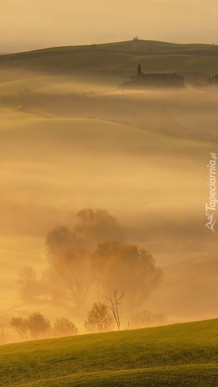 Mgła nad polami