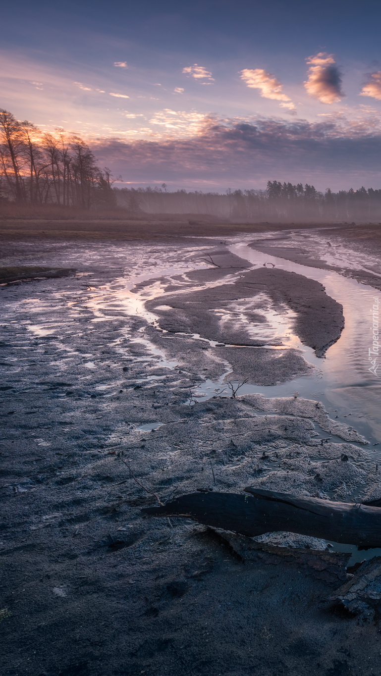 Mgła nad rozlewiskiem