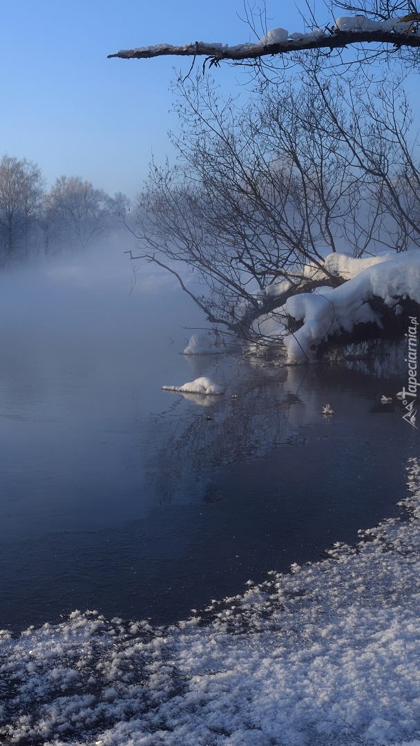 Mgła nad rzeką