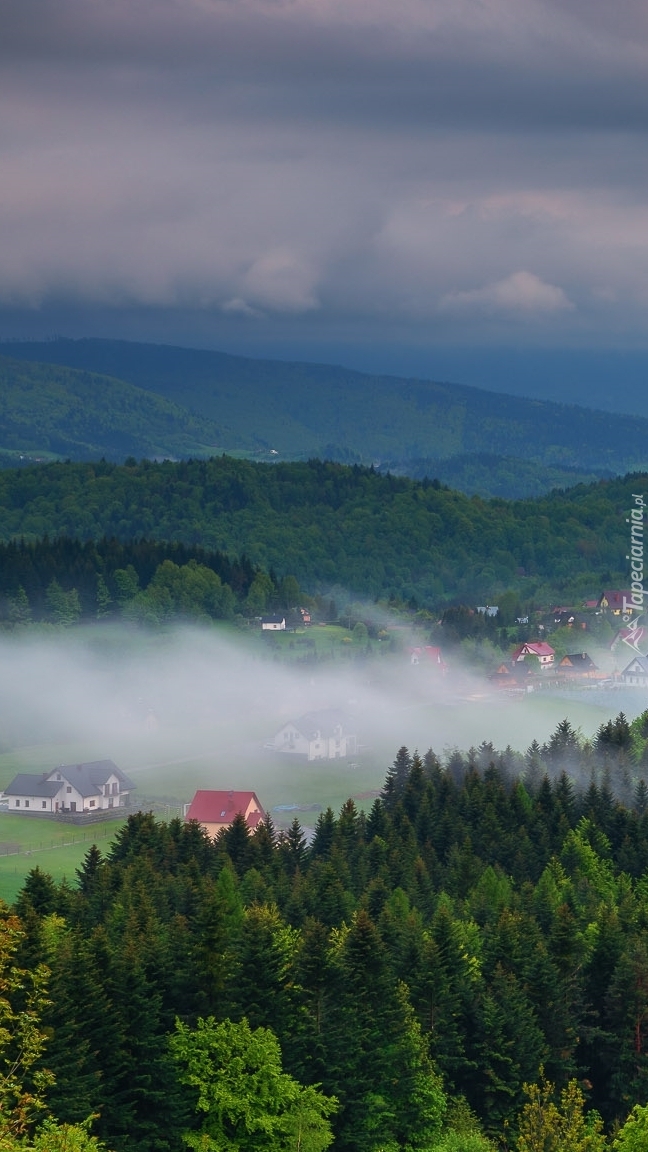 Mgła nad Zawoją