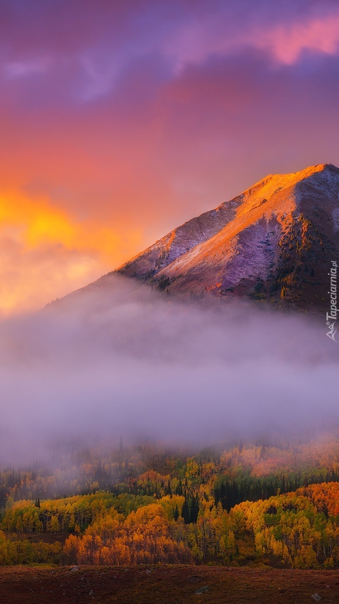 Mgła wokół góry Gothic Mountain