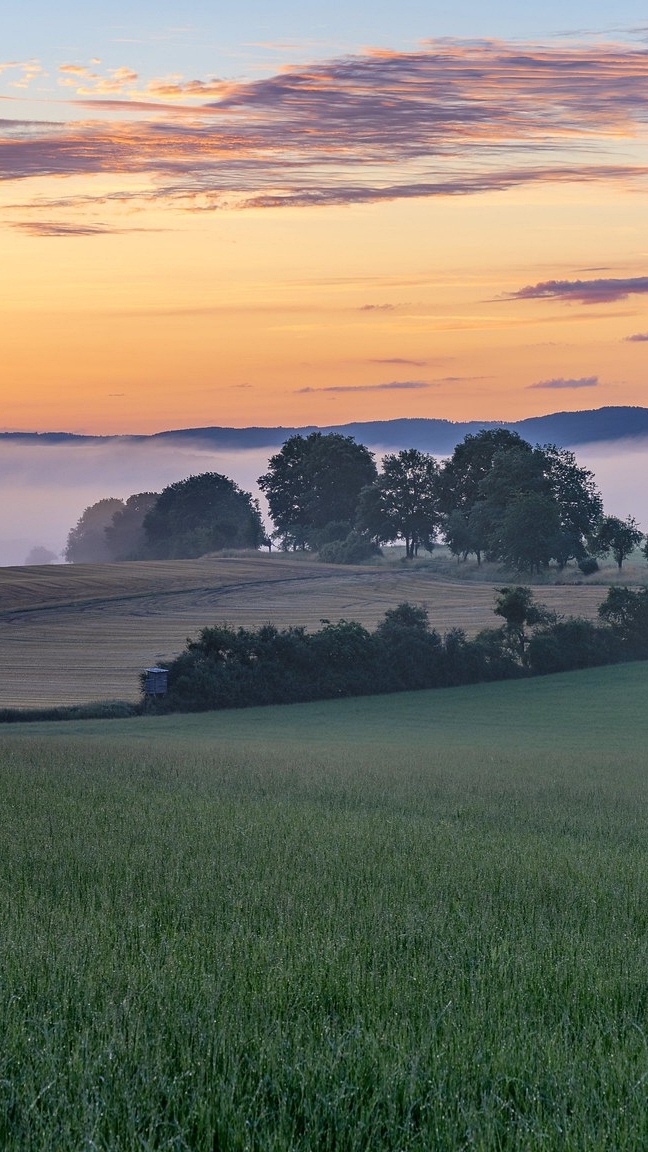 Mglisty poranek nad polami