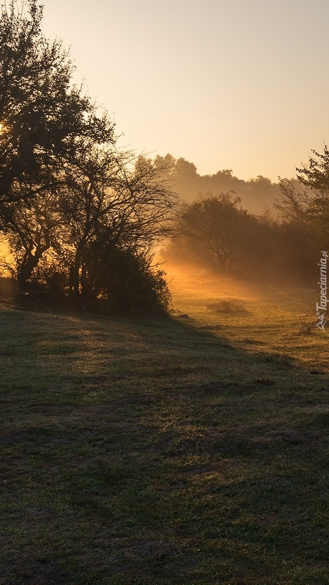 Mglisty poranek nad rzeką