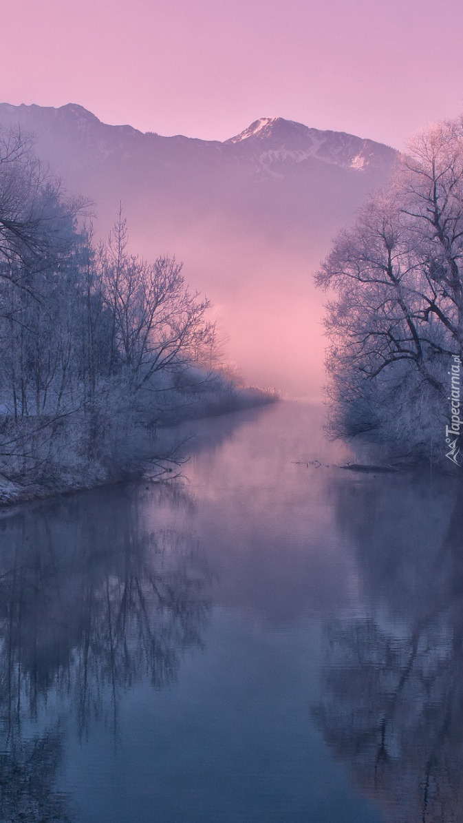 Mglisty poranek nad rzeką