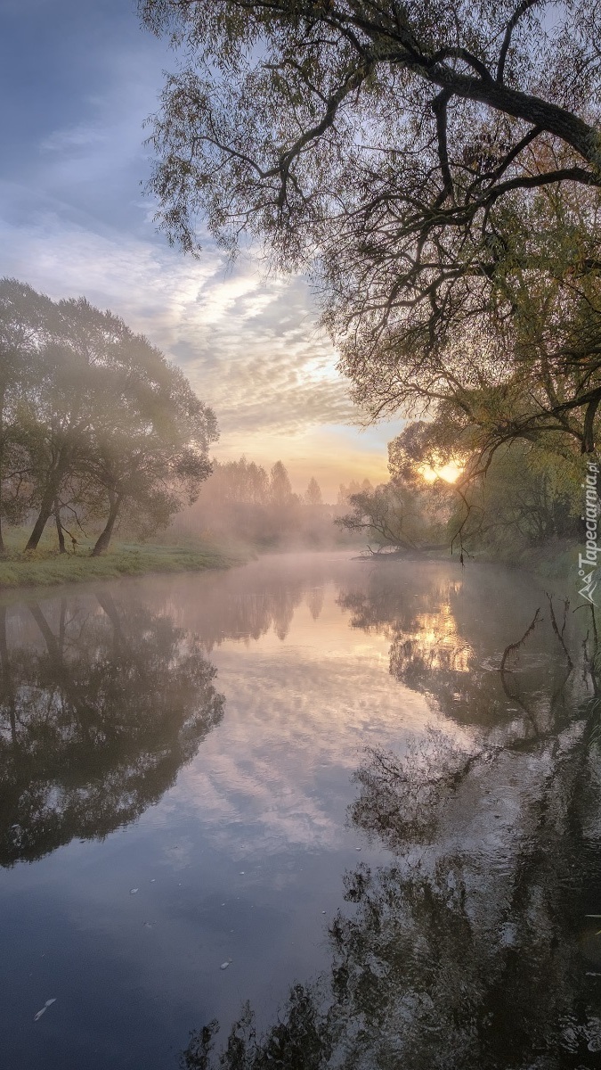 Mglisty poranek nad rzeką Istra