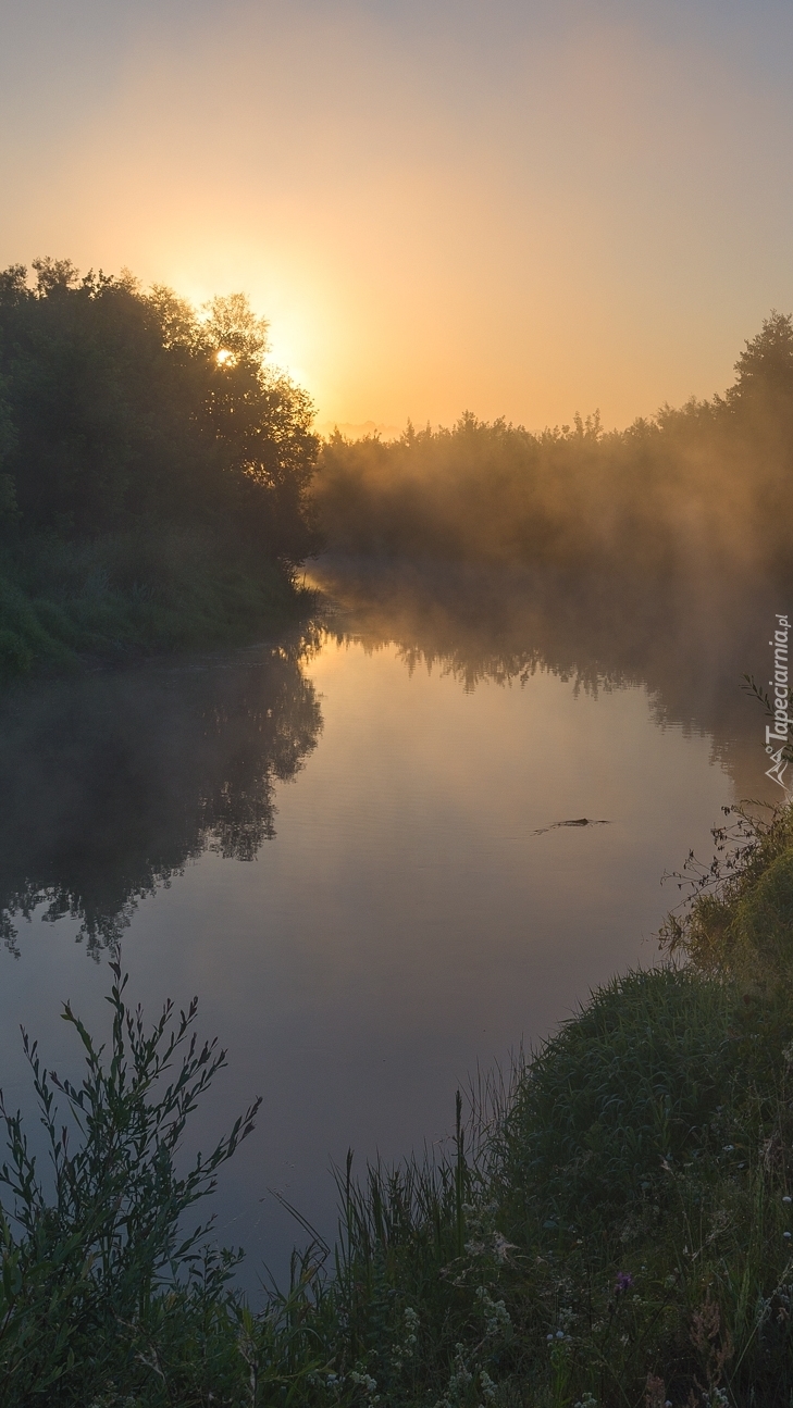 Mglisty poranek nad rzeką