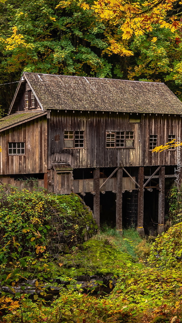 Młyn Cedar Creek Grist Mill