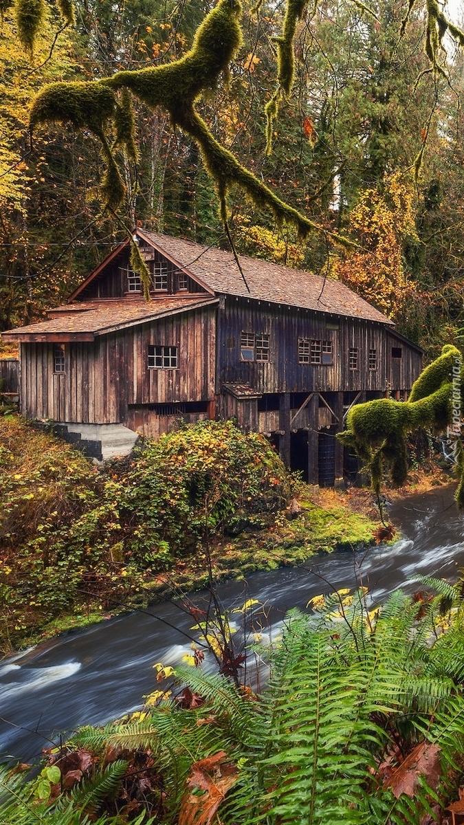 Młyn Cedar Creek Grist Mill