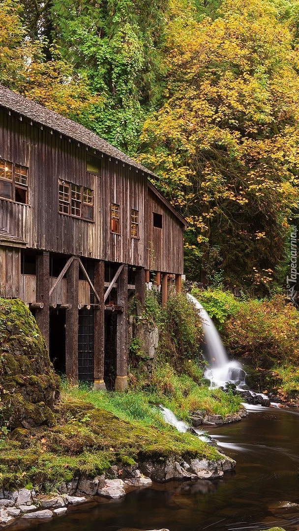 Młyn Cedar Creek Grist Mill