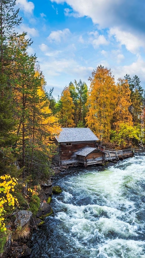 Młyn Myllykoski w Parku Narodowym Oulanka