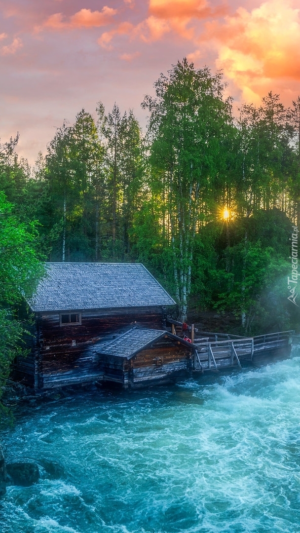 Młyn Myllykoski w Parku Narodowym Oulanka