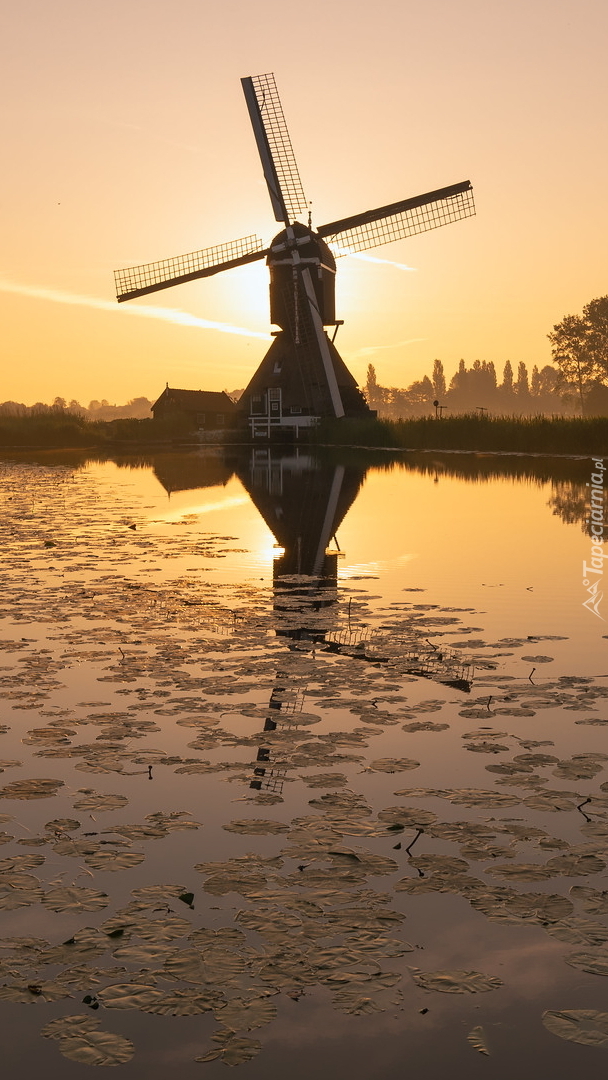 Młyn Oudendijkse Molen nad rzeką Giessen