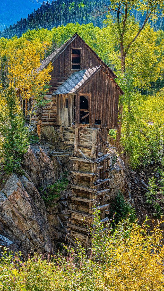 Młyn wodny Crystal Mill pośród drzew