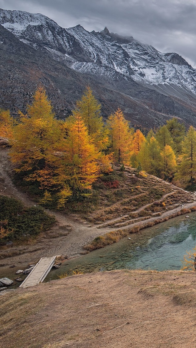 Modrzewie nad jeziorem Lac Bleu