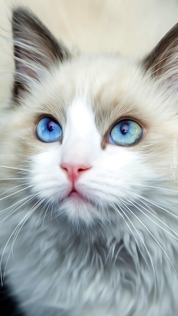 Moje piękne błękitne oczka