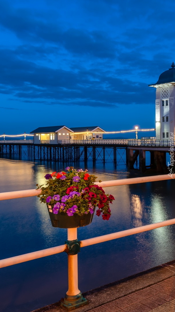 Molo Penarth Pier Pavilion w Walii