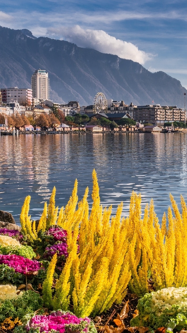 Montreux nad jeziorem Genewskim