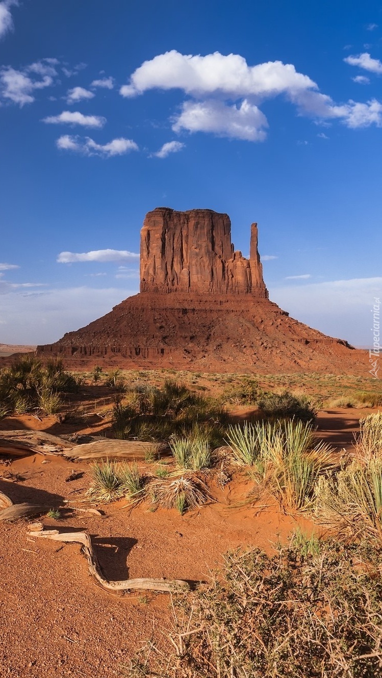 Monument Valley