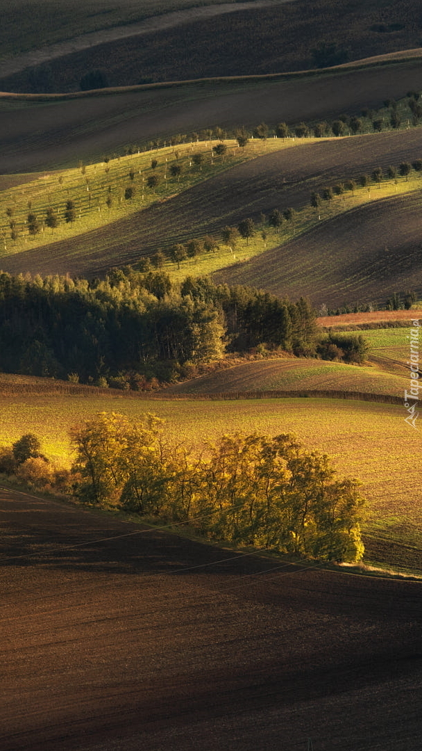 Morawy Południowe wiosną