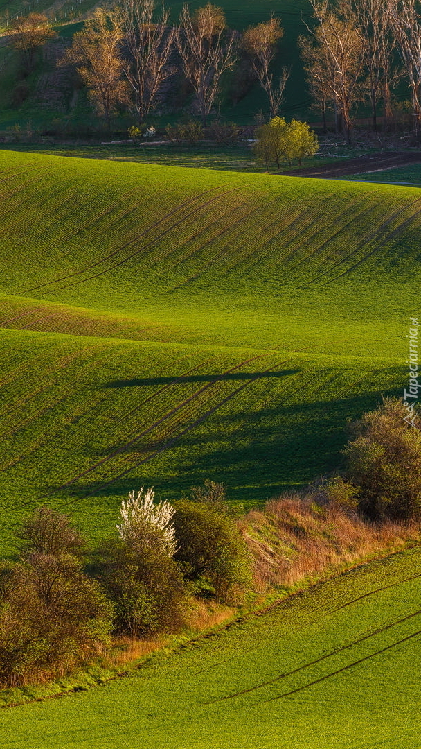 Morawy Południowe