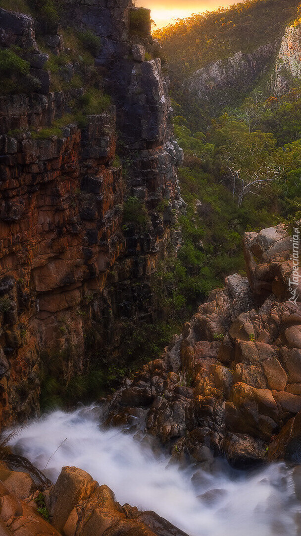 Morialta Conservation Park w Australii