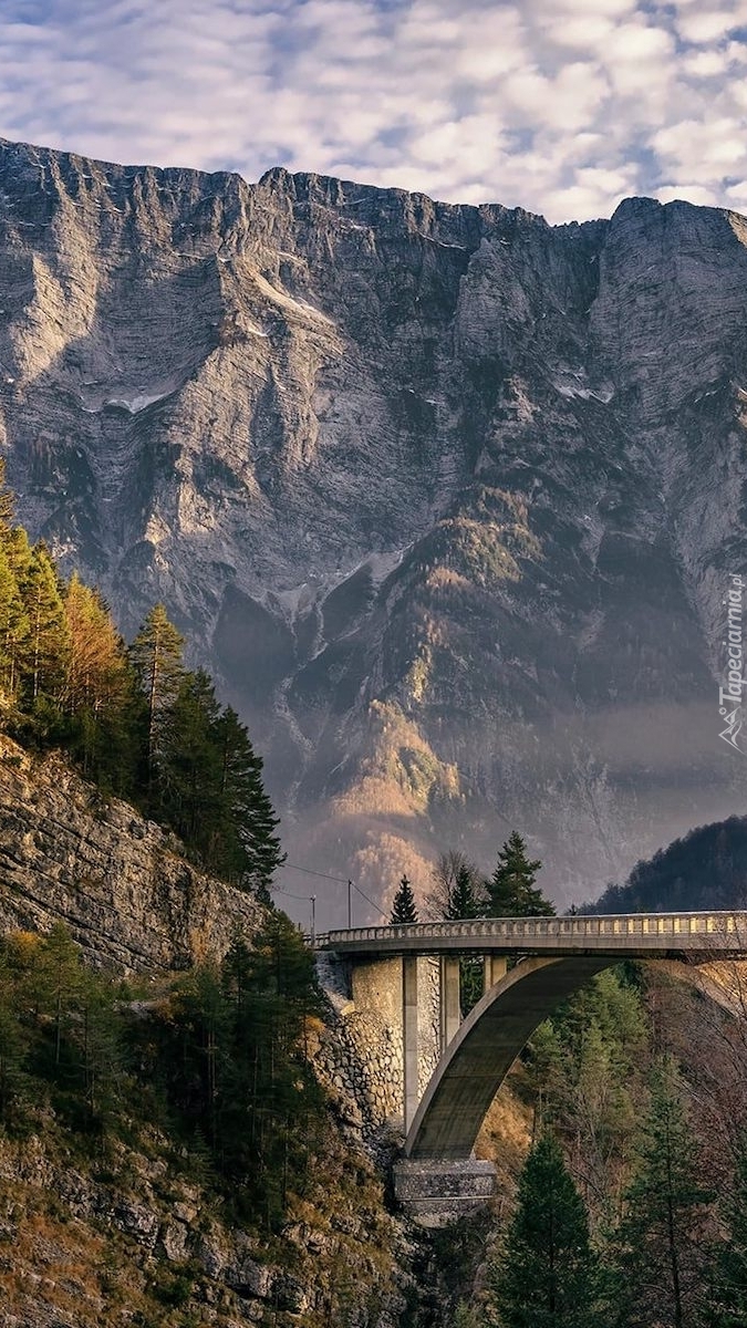 Most Arched Bridge w Alpach Julijskich