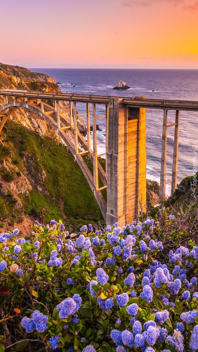 Most Bixby Creek Bridge