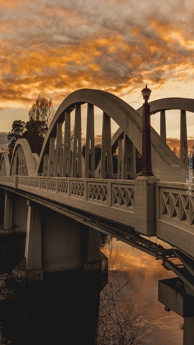 Most Claudelands Bridge w Hamilton