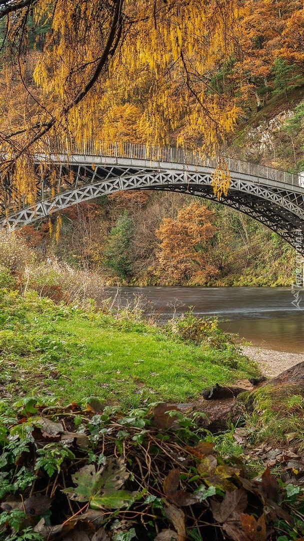 Most Craigellachie Bridge w Szkocji