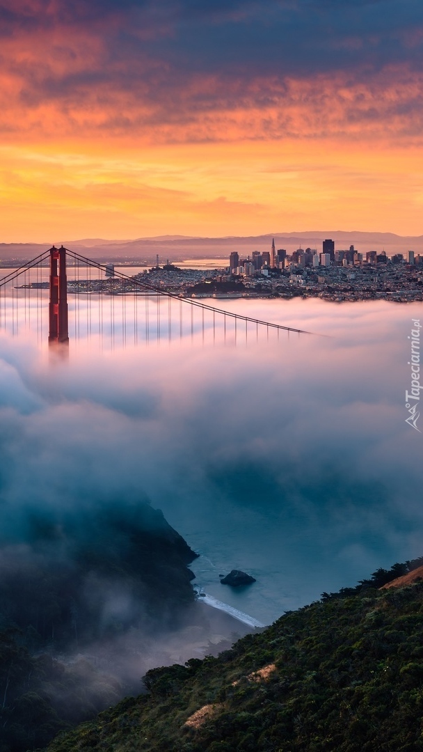 Most Golden Gate Bridge spowity mgłą