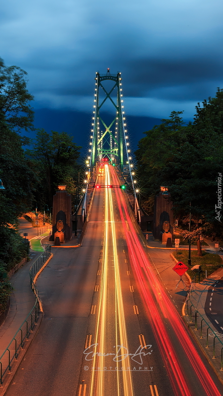 Most Lions Gate Bridge