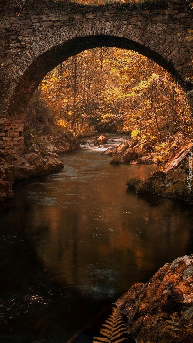 Most łukowy nad rzeką