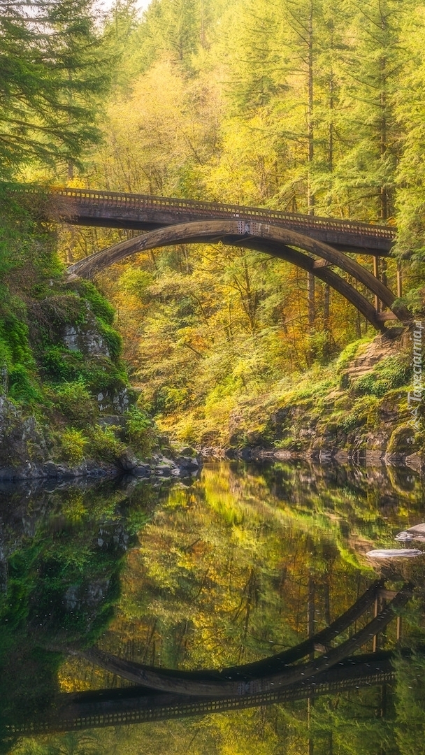 Most Moulton Falls Bridge nad rzeką Lewis River