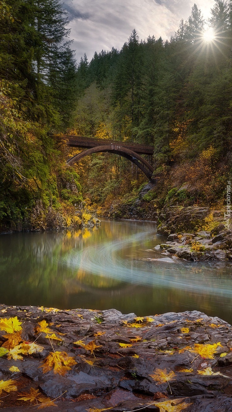 Most Moulton Falls Bridge nad rzeką Lewis River