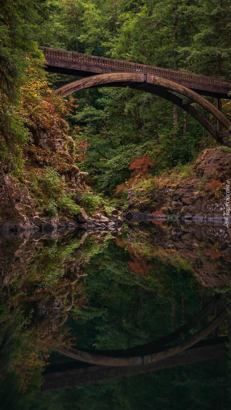 Most Moulton Falls Bridge