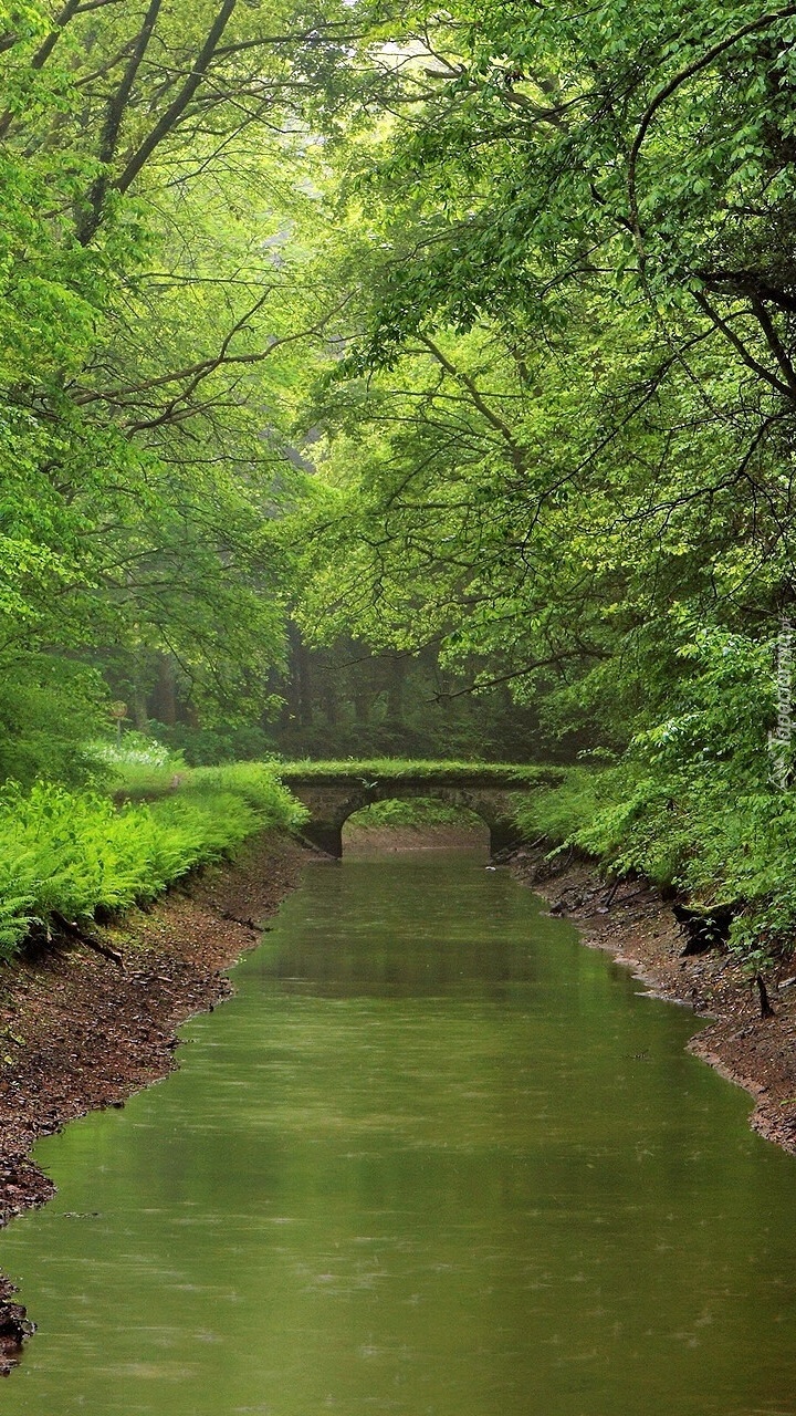 Most nad rzeczką