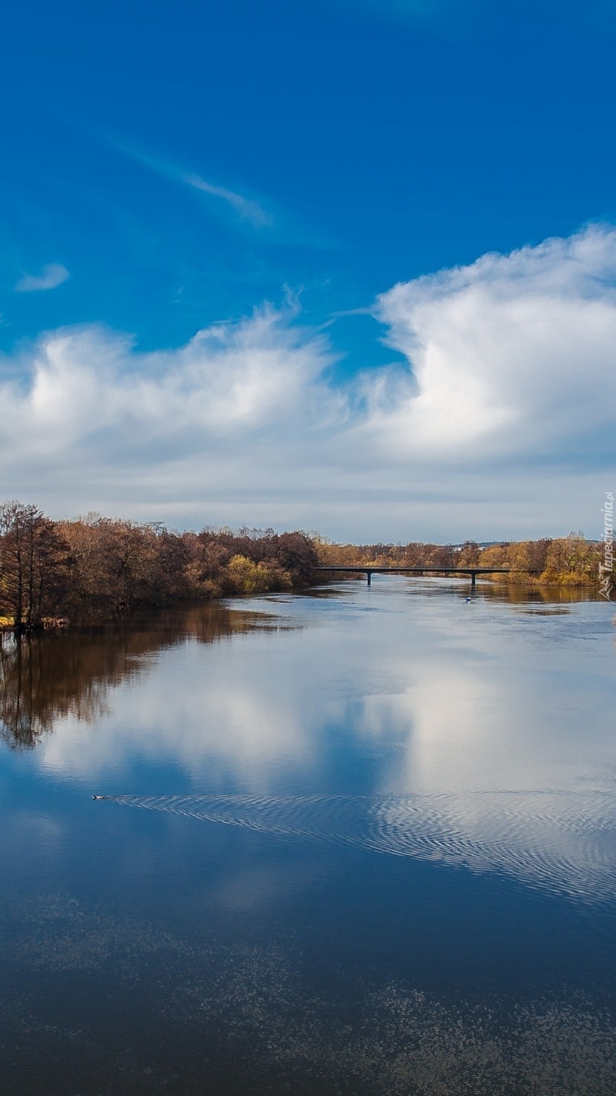 Most nad rzeką