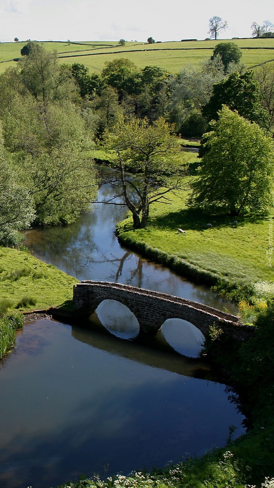 Most nad rzeką