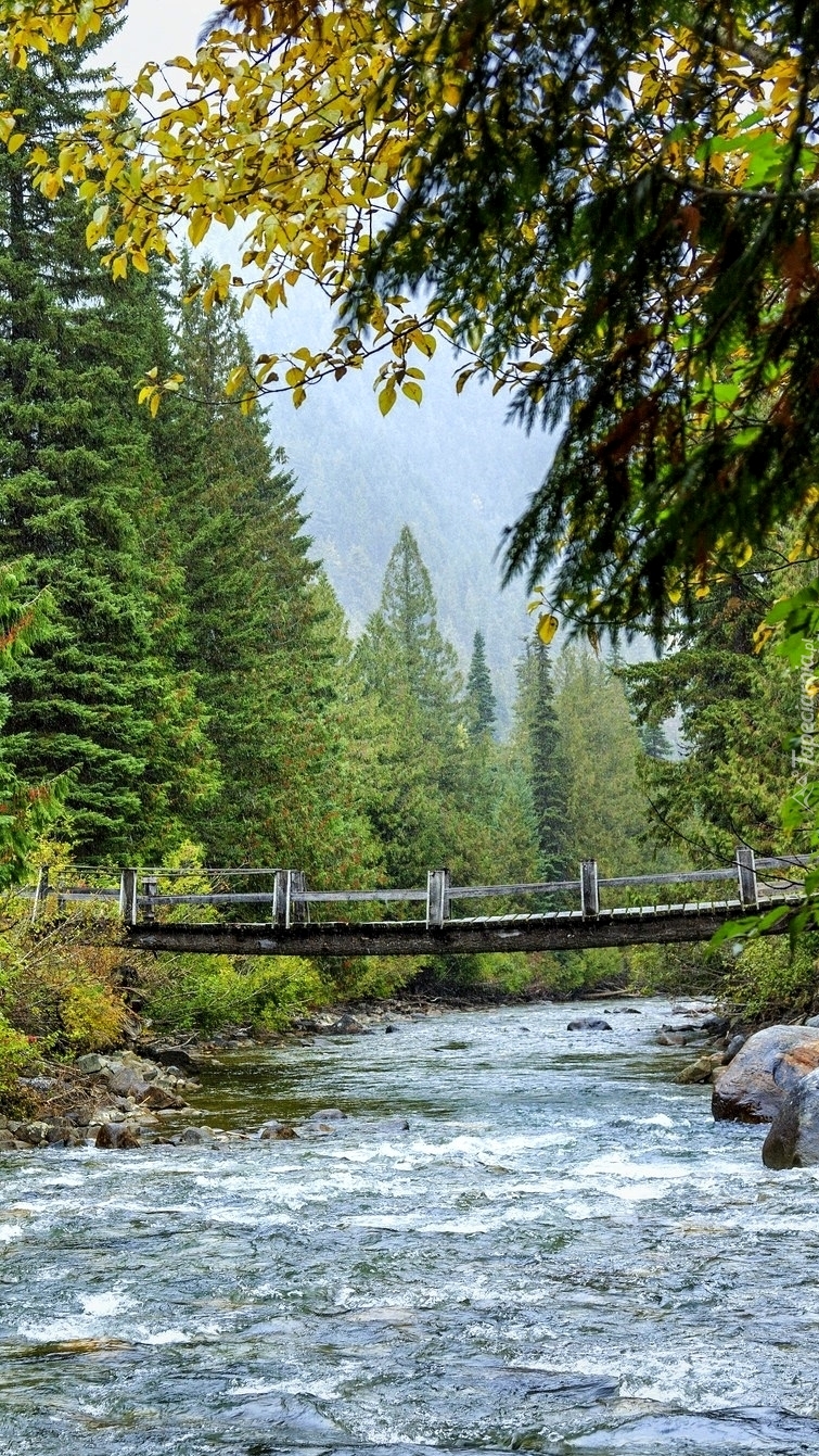 Most nad rzeką Cayoosh Creek